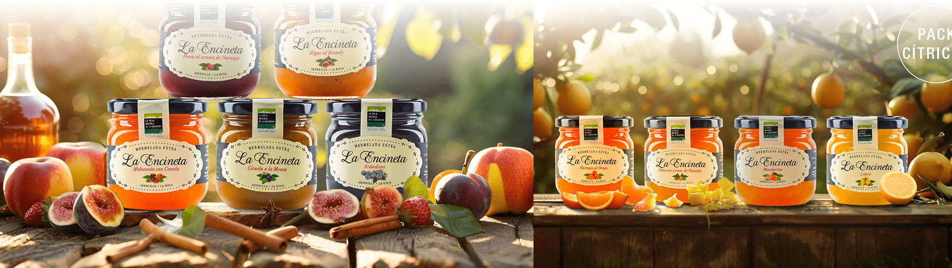 Pack de mermeladas clásicas La Encineta con sabores artesanales en presentación premium